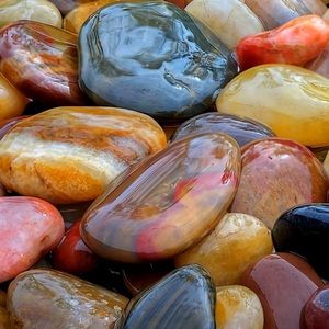 Meet your Posher, Vesim